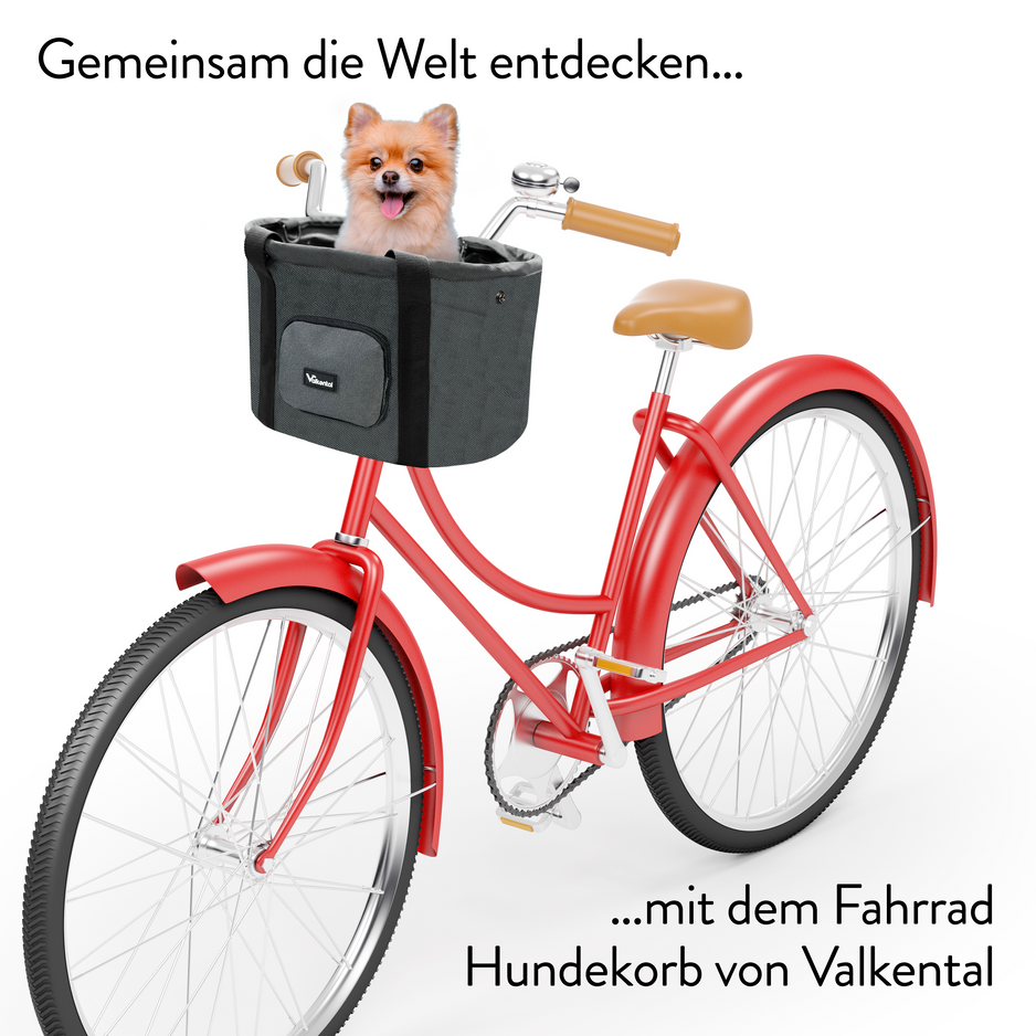 Panier Vélo Arrière En Métal - 20L, Support 30 Kg, Avec Couvercle étanche Et Filet - Pour Courses, Chien, école